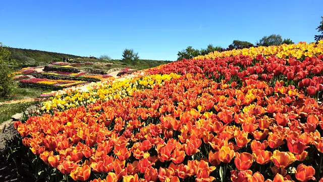 NaturaGart Newsletter 30. April 2026
